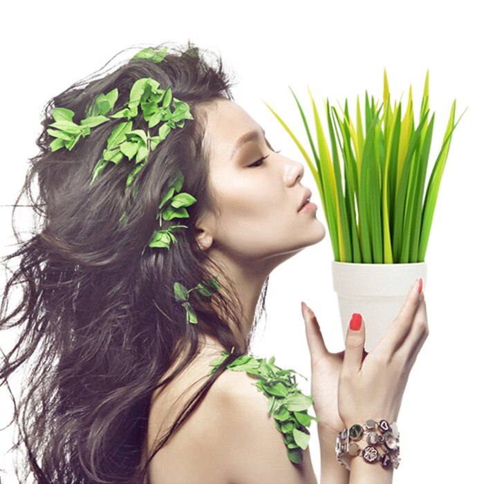 Ensemble de Stylos Herbe Vert et Jaune en Pot – Image 4