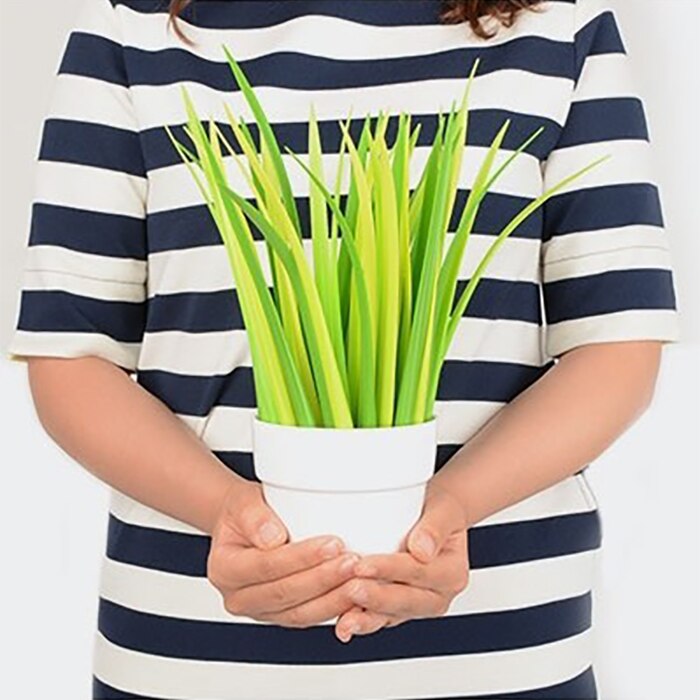 Ensemble de Stylos Herbe Vert et Jaune en Pot – Image 6