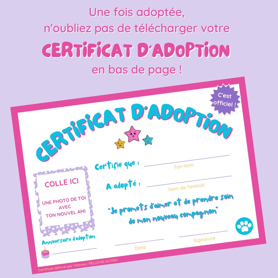 Peluche Licorne Rose à Corne Dorée et Étoile Bleue – Image 13