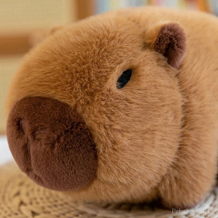 Peluche Avocat Vert et son Capybara Caché – Image 9