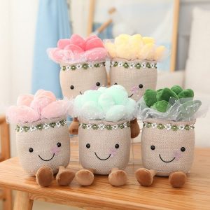 Peluche Succulente Souriante en Pot avec Pieds